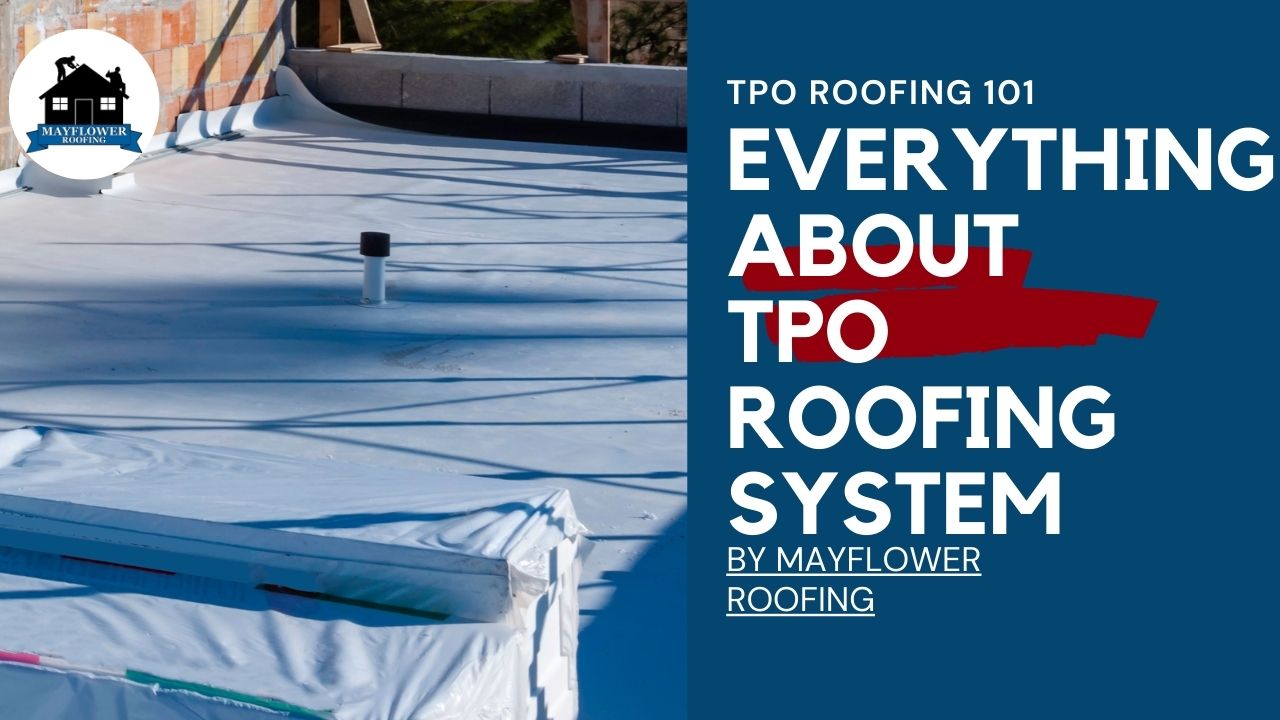 Everything About TPO Roofing System