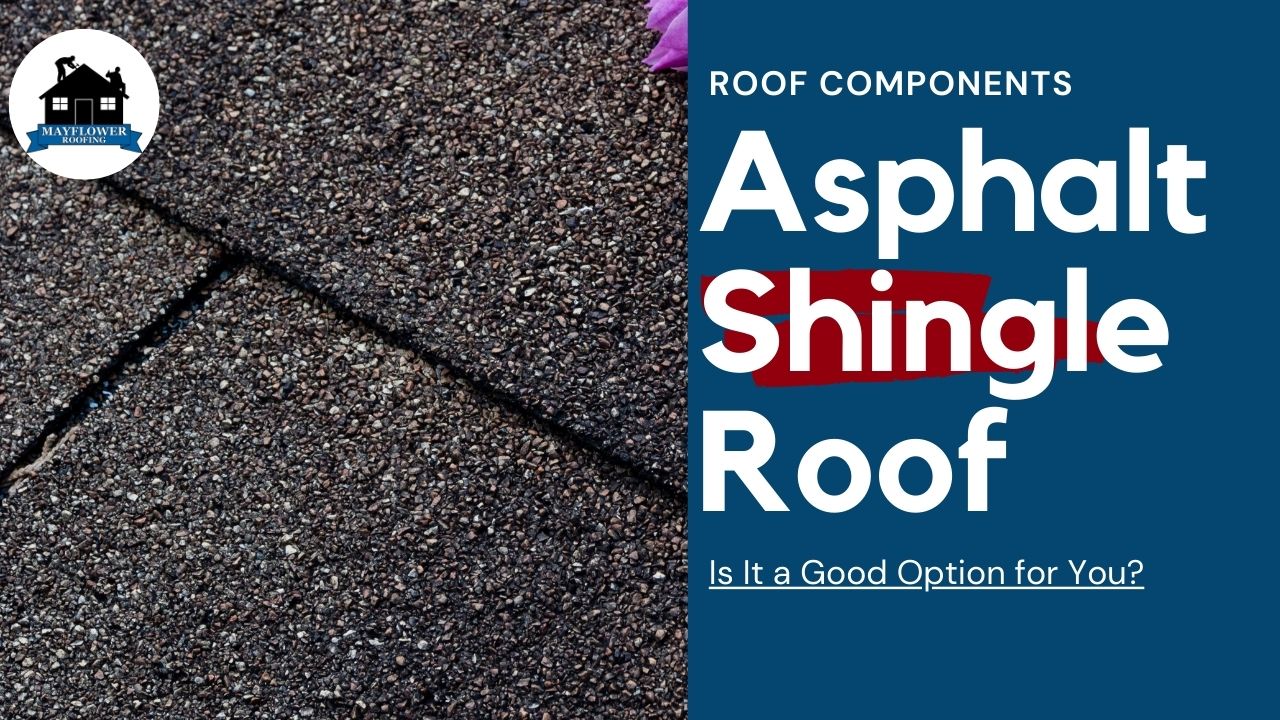 Asphalt Shingle Roof – Is It a Good Option for You?